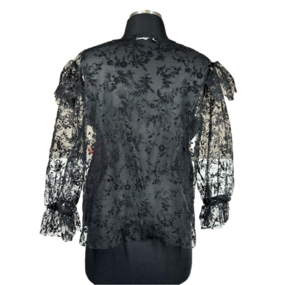 Zara Floral Tulle Ruffle Trim Blouse Top Black Sheer Velvet Lace Whimsigoth Sz L - Picture 2 of 13